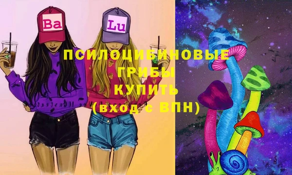 тгк Алзамай