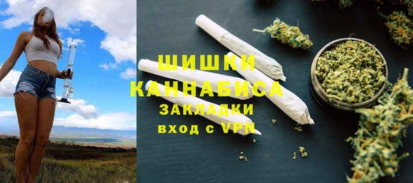 шишки Алексин