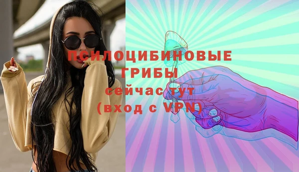 шишки Алексин
